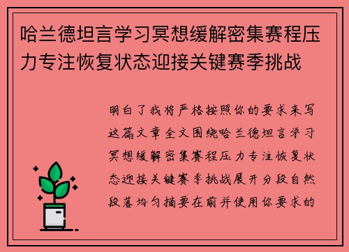 哈兰德坦言学习冥想缓解密集赛程压力专注恢复状态迎接关键赛季挑战 哈兰德坦言学习冥想缓解密集赛程压力专注恢复状态迎接关键赛季挑战